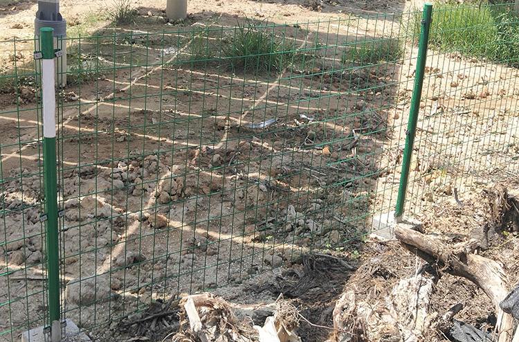 Application of Welded Wire Mesh Fencing.jpg Application of Welded Wire Mesh Fencing.jpg